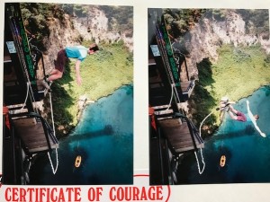 Taupo bungy